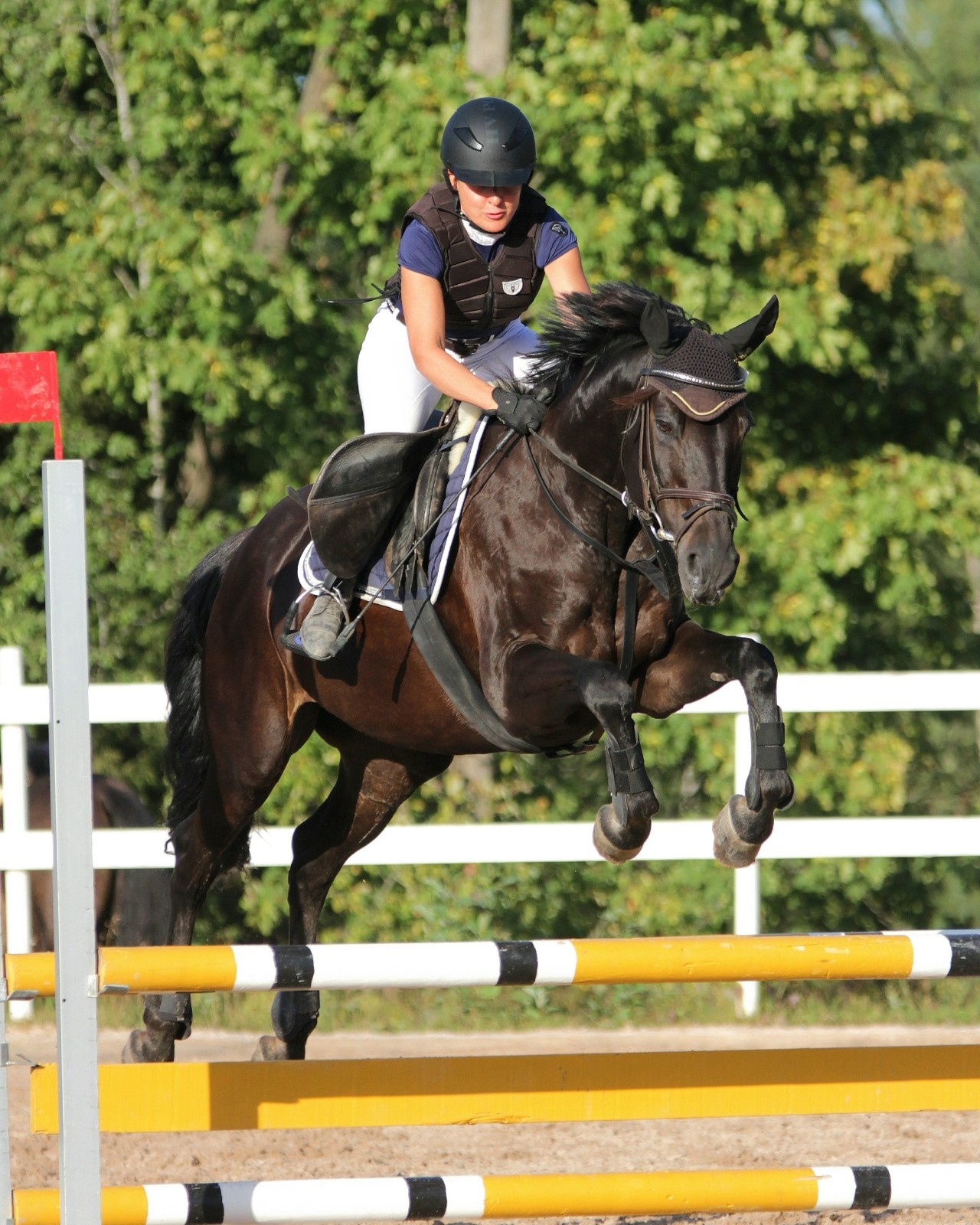 Training del Cavaliere